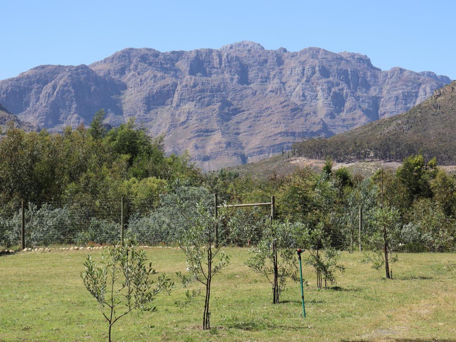 La Ferme Guest Farm - Hot Tubs Franschhoek Exterior foto