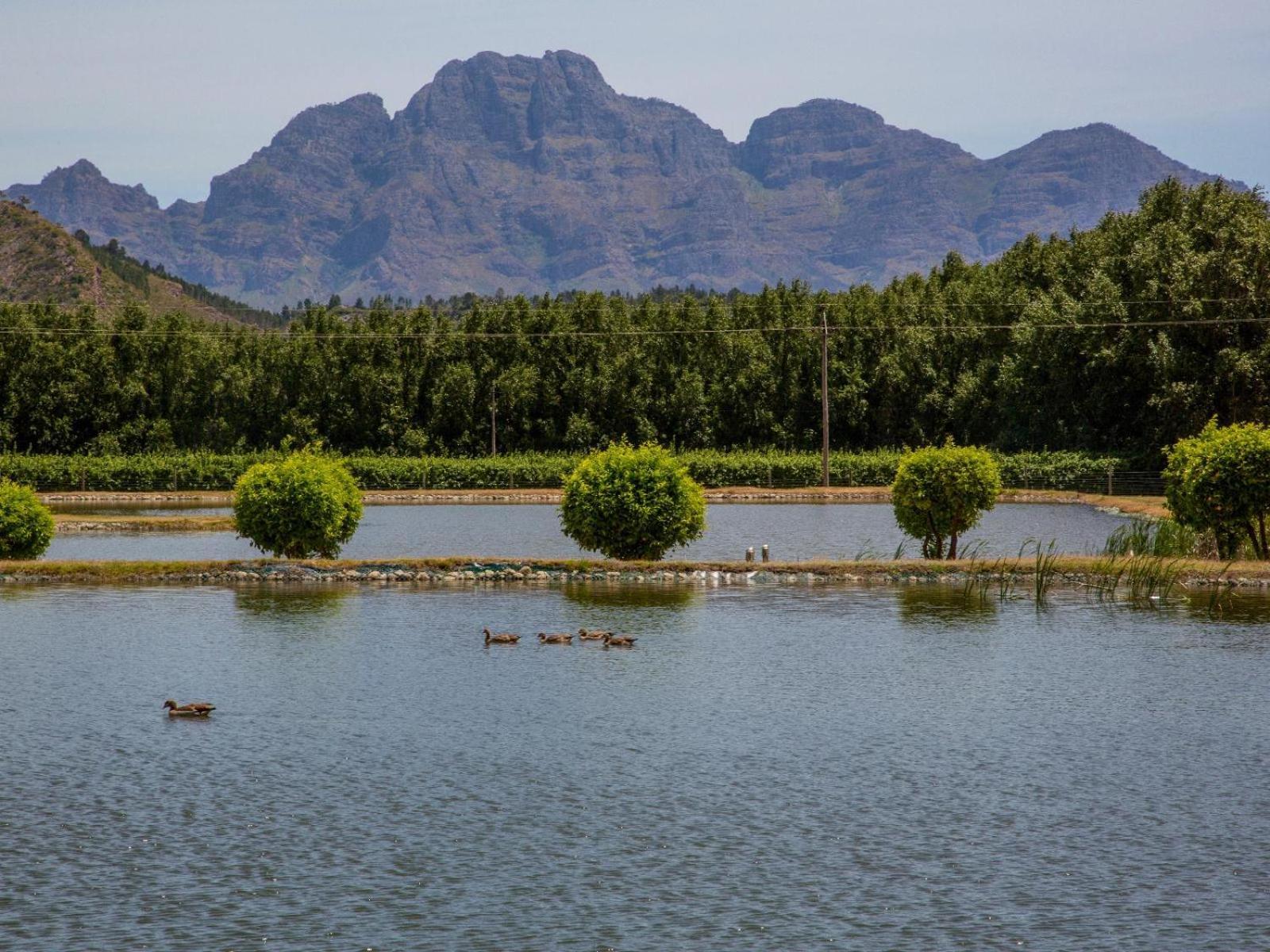 La Ferme Guest Farm - Hot Tubs Franschhoek Exterior foto