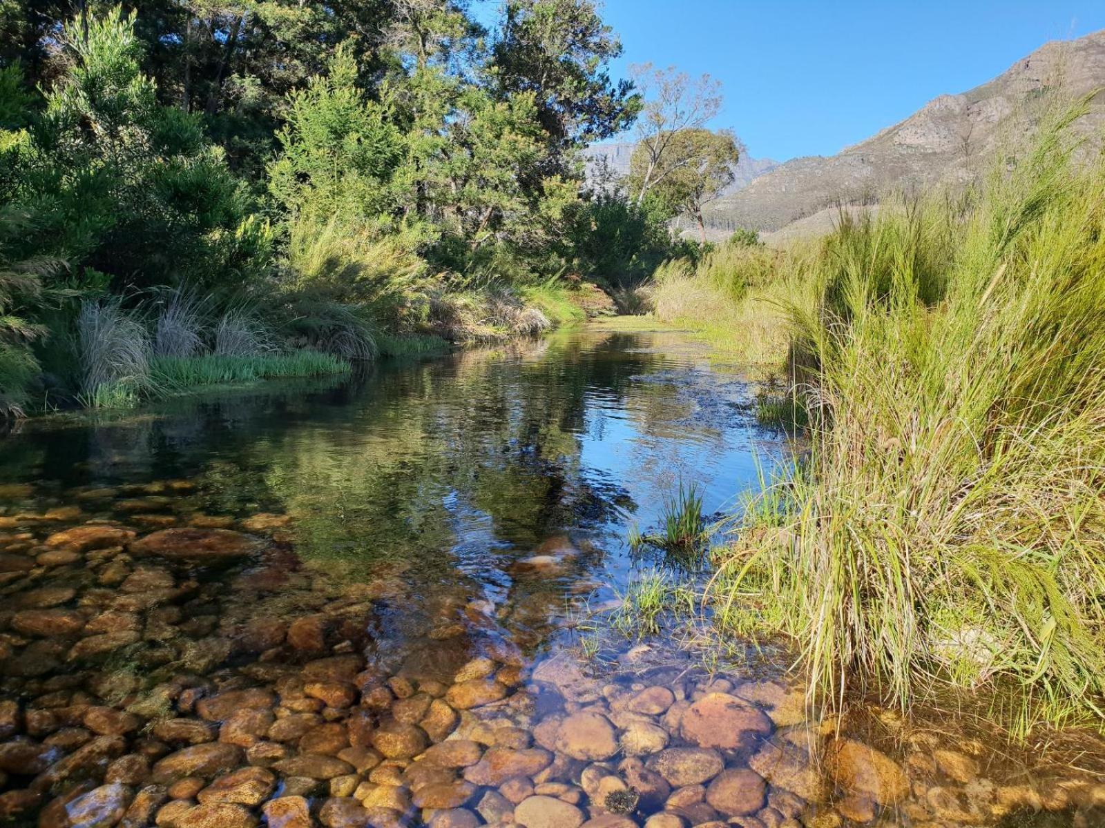 La Ferme Guest Farm - Hot Tubs Franschhoek Exterior foto