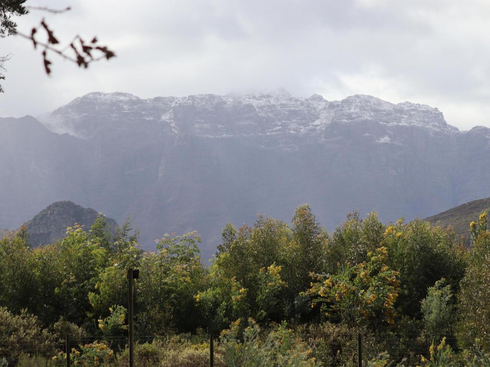 La Ferme Guest Farm - Hot Tubs Franschhoek Exterior foto